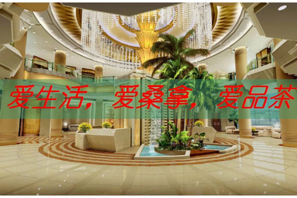 南宁spa按摩论坛疗愈，让您在专业护理中找回健康