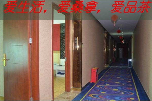 南宁仙湖畔：品茗赏景两不误的休闲好去处