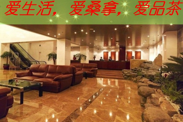 南宁喝茶：一场味蕾与心灵的盛宴